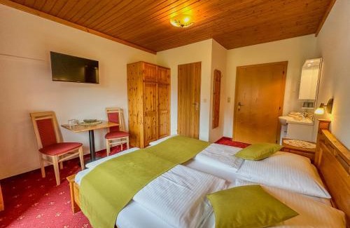 Achenkirch House | Seeblick Guesthouse: Oceanfront with Pet-Friendly Amenities