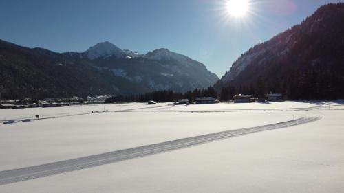 Achenkirch House | Seeblick Guesthouse: Oceanfront with Pet-Friendly Amenities