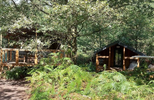 Saint-Pierre-des-Echaubrognes Cabin | Forest Retreat: Cap Town Cabin with Pool and Pet Access