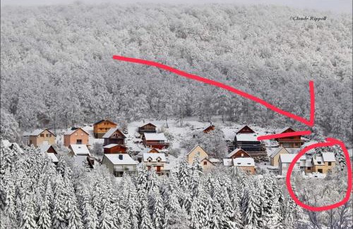Prades-d'Aubrac House | Experience Nature at Maison Forêt d'Aubrac - 9.3/10 Rating