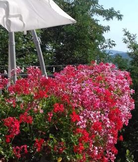 Montepetra Apartment | Experience Fra Bosco e Cielo B&B: Perfect for Families