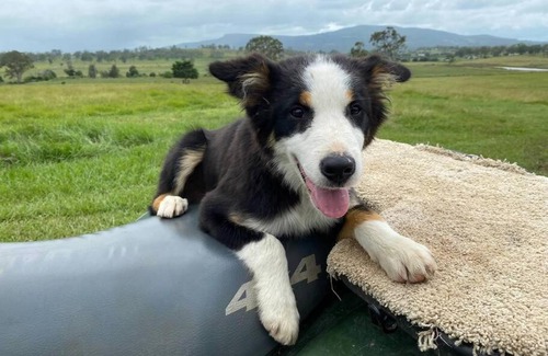 Frazerview House | Relaxing Frazerview Stay - Farm House Retreat in Scenic Rim