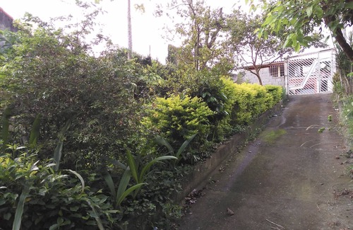 Sao Paulo House | Convenient Airport Transfers with Professional Drivers