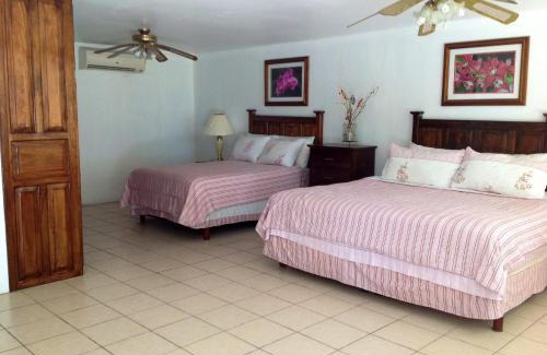 Isla Aguada Hotel | Accessible Freedom Shores "La Gringa" with Oceanfront Views