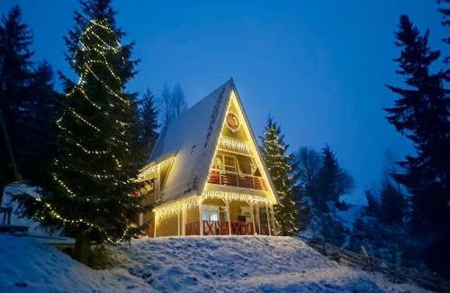 Prymors'kyi district Apartment | Elegant Freeman Cottage in Bukovel with River Terrace Access