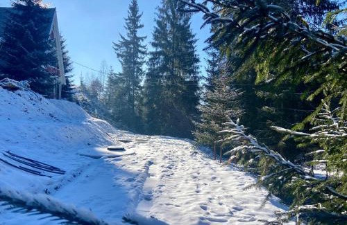 Prymors'kyi district Apartment | Elegant Freeman Cottage in Bukovel with River Terrace Access