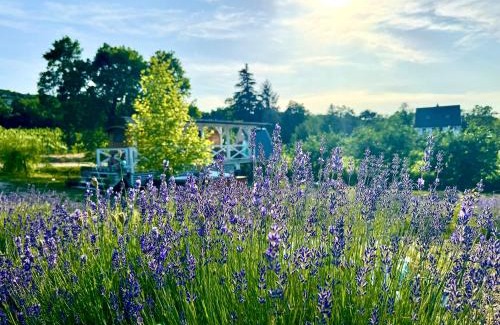 Kisapati House | Frida House át lake Balaton