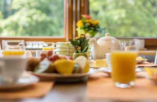 Titisee-Neustadt Apartment | Family-Friendly Friedolin: Guest Rated 9.5/10 for Comfort