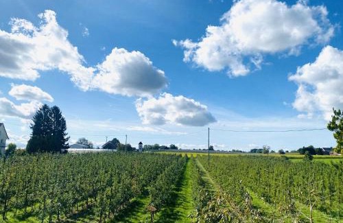 Waggershausen Apartment | Experience Friedrichshafen in Nature's Embrace