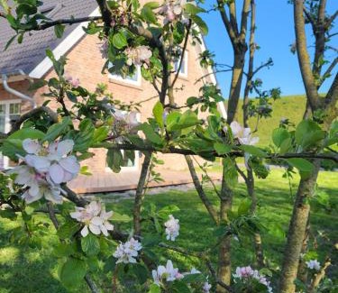 Toenning Apartment | Unforgettable Stays at Friesenperle - Guest Rated 9.8