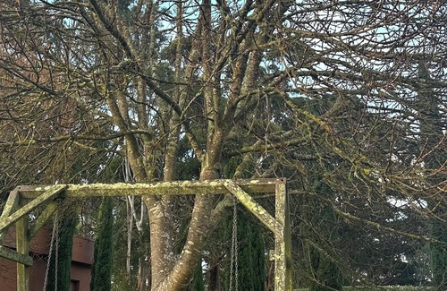 Red Hill Cottage | Frogs Pond Vineyard