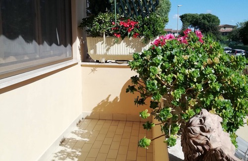 Pisa House | Discover Francesca: Family-Friendly Stays Near Pisa