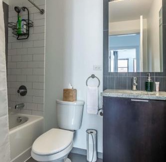 East Hyde Park Apartment | Cozy 2 BR Apt Near Harold Washington Park with Ocean View