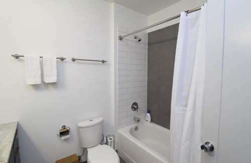 East Hyde Park Apartment | Stylish 1 BR Apartment Steps from 57th Street Beach