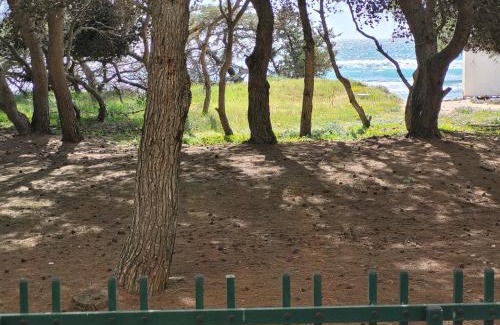 Rivabella Apartment | Beachfront Bliss at Fronte Pineta Mare Rivabella - Guest Rated 9.7
