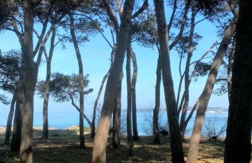 Rivabella Apartment | Child-Friendly Comfort at Frontemare Davide Hotel