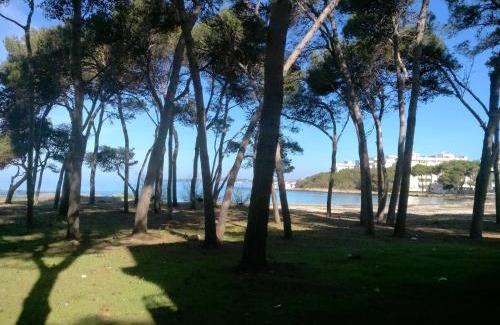 Rivabella Apartment | Child-Friendly Comfort at Frontemare Davide Hotel