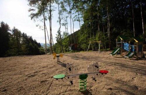 Bystrzyca Kłodzka Ski Chalet | Frydrysówka: Perfect for Families and Pet Lovers