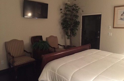 Southwest Ranches House | Discover Ft. Lauderdale Guest House with Ocean Views & Pool