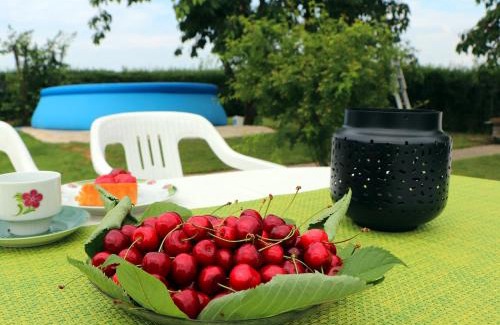 Riedenburg House | Pet-Friendly Fuchsheisl with Ocean View and Pool