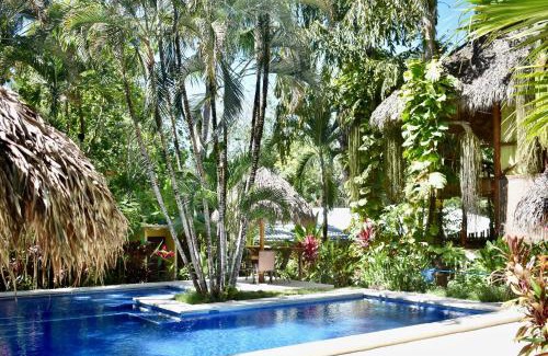 Playa Santa Teresa Hotel | Elevated Stay at Fuego Lodge: Oceanfront Bliss & Spa