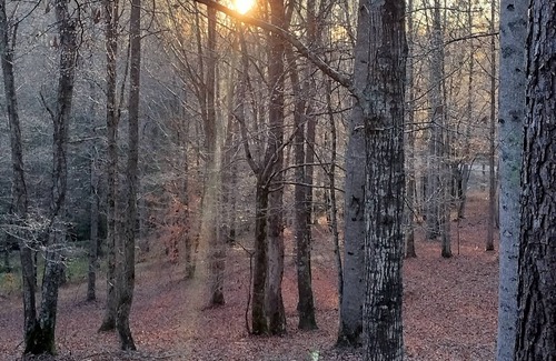 Ashland RV Rental | Pet-Friendly Full Hookup RV Site at Big Foot Trail