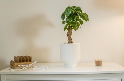 Zentrum-Nord Apartment | Inviting FULL HOUSE Studios - The Jungle Apartment Awaits