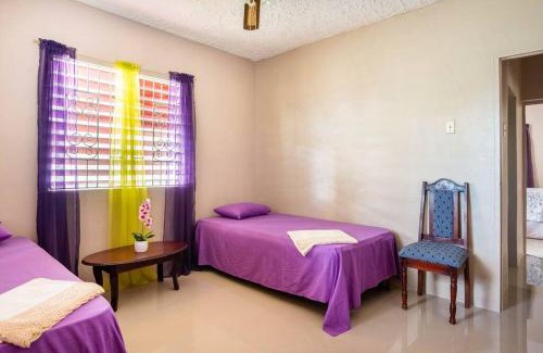 Salt Gut House | Comfortable 2BR Retreat, Steps from Ian Fleming Int Airport