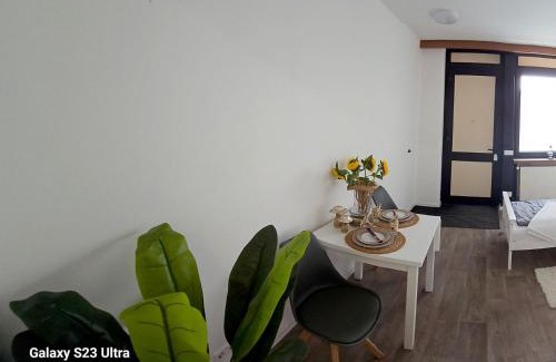 Zweibruecken Apartment | Pet-Friendly Fully Equipped Apartment for Memorable Stays