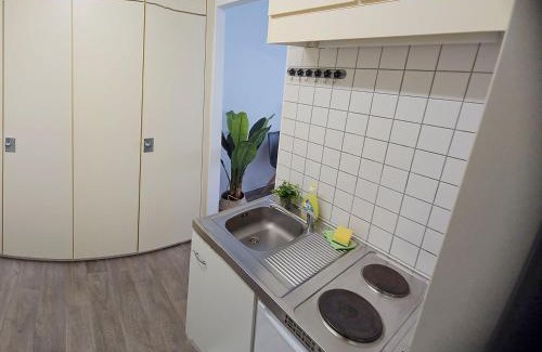 Zweibruecken Apartment | Pet-Friendly Fully Equipped Apartment for Memorable Stays