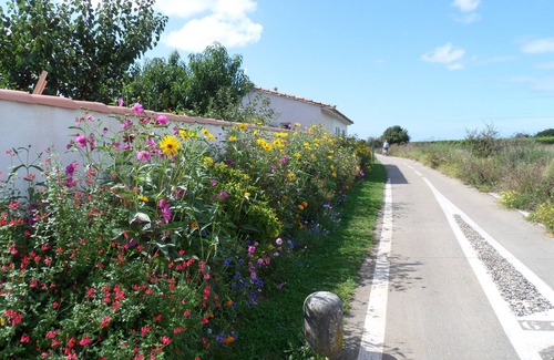 Le Bois-Plage-en-Re House | Cozy Studio Rental in Ile de Re with Oceanfront Views