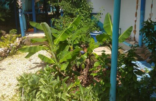 Kendwa Bed & Breakfast | Cozy Furaha B&B Kendwa: Ideal for Families with Breakfast