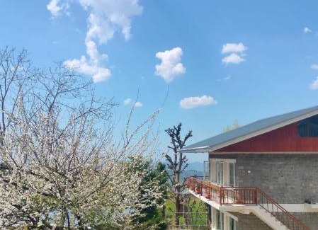 Bir Apartment | Fursatghar Aangan Studio Apartment