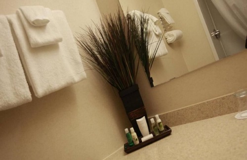 Halifax Hotel | Explore Future Inns Halifax: Family-Friendly Amenities Await