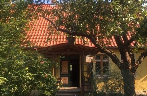 Gusow Apartment | FW Hollerbusch Loft: Guest Rated 9.8 with Pool & Ocean View