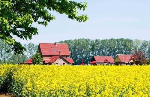 Rerik Apartment | FZ 9-11 / 2-room-rooms without kitchen (48m², 4 pers.) - bed + bike | B & B | Bike Pension Ostseeland Rerik
