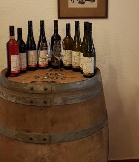 Wachenheim an der Weinstrasse House | Top-Rated Gästehaus Bacchus with Breakfast & Family Amenities
