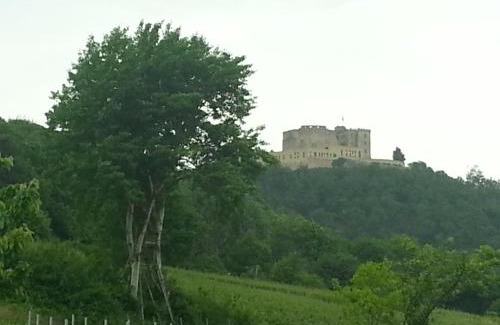 Neustadt-Diedesfeld House | Highly Rated Gästehaus Weingut Glas for Your Next Getaway