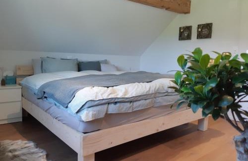 Neckertal Bed & Breakfast | Inviting Gästehaus Aemisegg: Pet Friendly with Breakfast