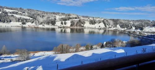 Buhl am Alpsee Apartment | Gästehaus Alpseeblick