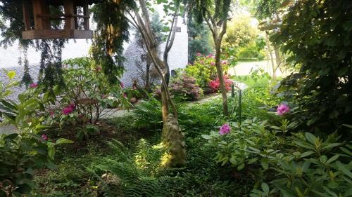 Weil am Rhein House | Family-Friendly Retreat at Gästehaus am Weiher