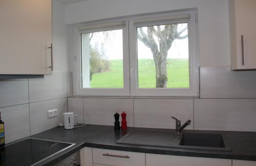 Uehlingen-Birkendorf Apartment | Inviting Gästehaus Dörflinger: Family-Friendly & Top Rated