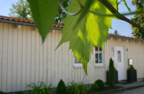 Guenzburg Apartment | Discover Gästehaus Gaumenflug: Top-Rated Lakefront Retreat