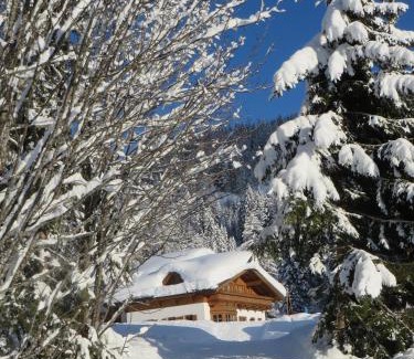 Muehlbach Am Hochkoenig Apartment | Gästehaus Gschwandtner: Oceanfront Retreat with Hot Tub
