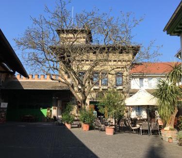 Mainz-Bingen Apartment | Family-Friendly Gästehaus Guntersblum with Kitchen Amenities