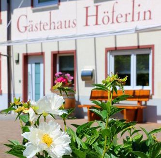 Bad Bellingen House | Gästehaus Höferlin: Family-Friendly Stay with Breakfast Included
