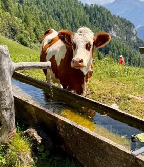Buch in Tirol House | Guest Rated: 10/10 at Gästehaus Hechenblaikner with Ocean View