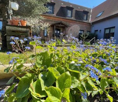 Bad Doberan House | Family-Friendly Gästehaus Kleiner Wacholder with High Ratings