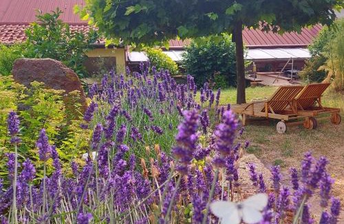 Ilbesheim House | Gästehaus Röhm: Guest Rated 9.3 with Family-Friendly Amenities