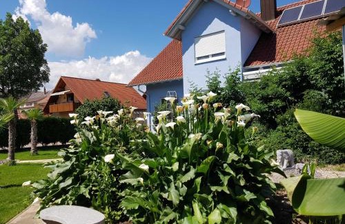 Rust Apartment | Cozy Gästehaus Schwien: Pet & Child Friendly Retreat